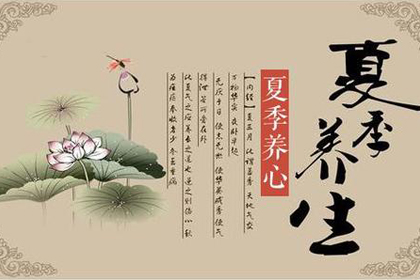 NOPAYǮ���Ƽ�