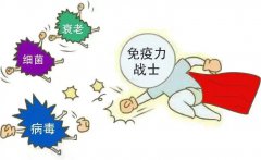 NOPAYǮ���Ƽ�