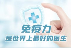 NOPAYǮ���Ƽ�