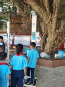 NOPAYǮ���Ƽ�