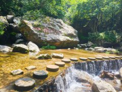 NOPAYǮ���Ƽ�