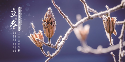 NOPAYǮ�� - ��ȫ��ݵ��ֻ�֧��Ǯ������