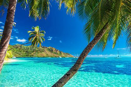 NOPAYǮ���Ƽ�