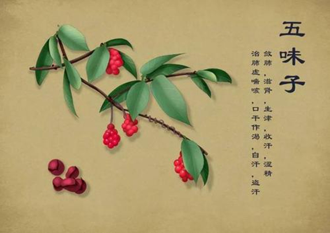 NOPAYǮ���Ƽ�