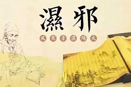 NOPAYǮ���Ƽ�