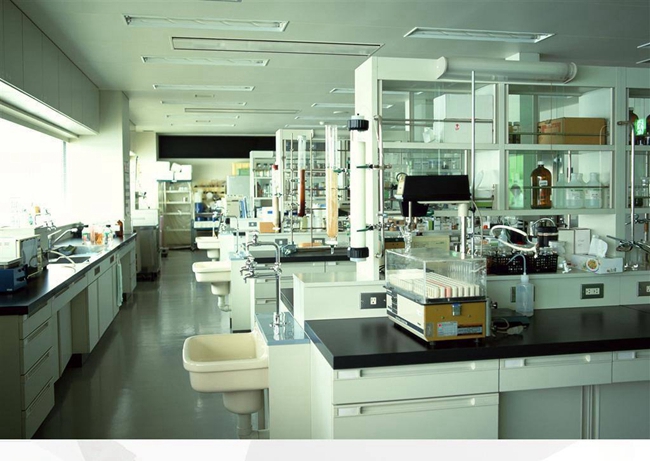 NOPAYǮ���Ƽ�