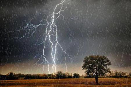 NOPAYǮ���Ƽ�