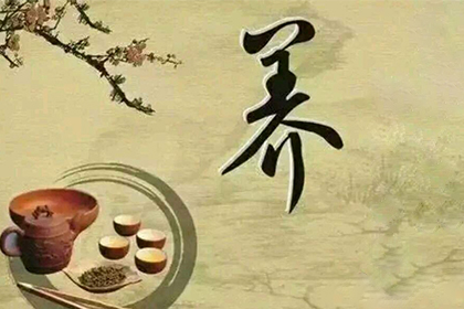 NOPAYǮ���Ƽ�